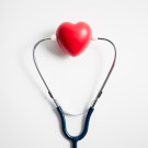 Sistema circulatorio y cardiovascular