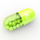 Silicio