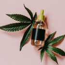 Aceites CBD