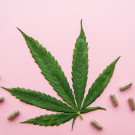 Capsulas CBD