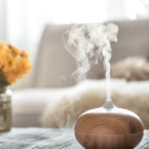 Difusores y aceites para difusión