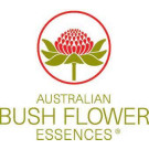 Australia - bush